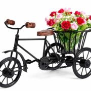 Iron Flower Vase for Home Decoration